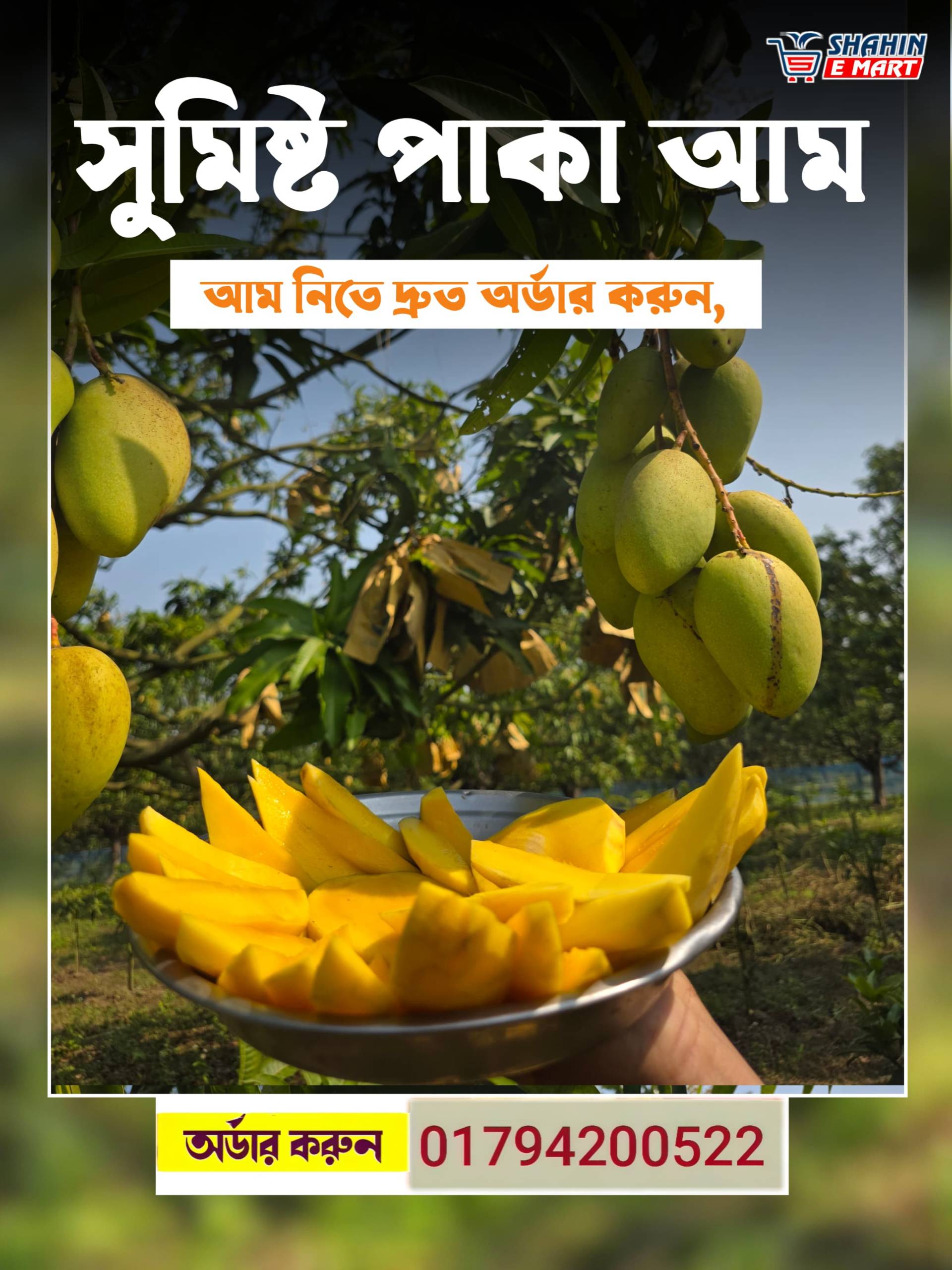 পরিপক্ক কাটিমন আম